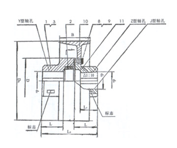 MLL-I型梅花形彈性聯軸器